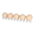 thumbnail image 3 of Pictor de Huevo de Gallina, Accesorios Authicos para recolectores de Huevos de Huevo Confiables de Huevo, Ahorrar Tiempo Para Plosos Patos Otras Aves de Corral, 3 of 7