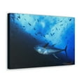 thumbnail image 2 of Majestic Yellow Finned Tuna With Others in the Background Print Animal Wall Art Wildlife Canvas Prints Wall Art Ready to Hang Unframed, 2 of 18