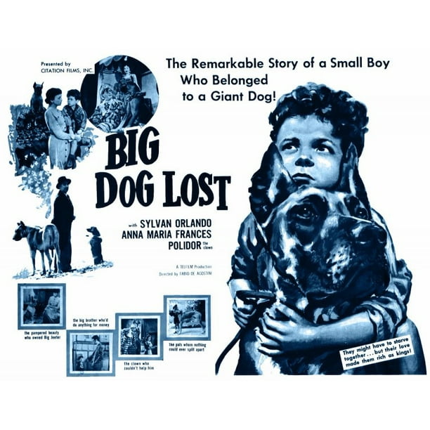 Big Dog Lost Movie Poster Style A 11 X 14 1961 Walmart Com