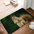 thumbnail image 4 of Susaid Squirrels Eating Peanuts On The Tree Print Doormat,Porch Decor,Housewarming Decor Gift Doormat,Funny Flannel Floor Mat,Funny Doormat 24x16 Inch, 4 of 7