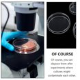 thumbnail image 3 of 20Pcs Transparent Petri Dishes Plastic Petri Dish for Laboratory Culture Yeast, 3 of 3