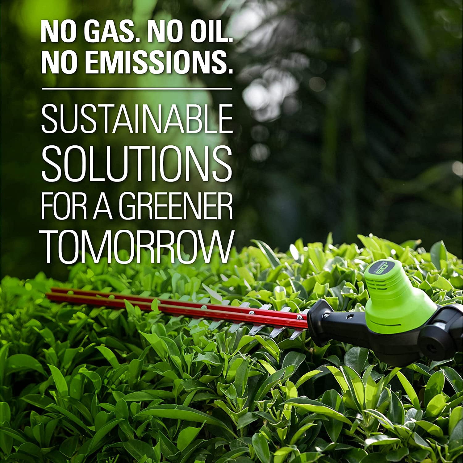 Greenworks 20-Inch 80V Cordless Pole Hedge Trimmer, Battery Not Included PH80B00