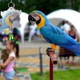 thumbnail image 2 of Flmtop 10Pcs Pet Bird Parrot Beads Bell Mirror Ball Hanging Swing Stand Cage Chew Toy Random Color, 2 of 8