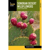 Wildflower Sonoran Desert Wildflowers: A Guide To Common Plants, (Paperback)