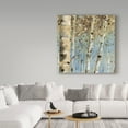 thumbnail image 3 of Trademark Fine Art 'White Forest 4' Canvas Art by Lisa Audit, 3 of 3