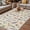 Pink LightBLue Beige, variant on Spring Floral Outdoor Rug for Patio/Deck/Porch, Non-Slip Large Area Rug 5 x 7 Ft, Elegant Pastoral Flowers Dragonfly Rustic Indoor Outdoor Rugs Washable Area Rugs, Camping Rug Carpet Runner