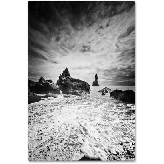 Trademark Fine Art 'Black Tip' Canvas Art by Philippe Sainte-Laudy