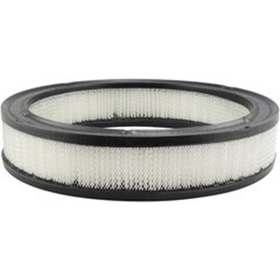 Baldwin Filters Air Filter, 10-7/8 x 2-3/16 in. Fits select: 1975-1979 FORD F150, 1969-1979 FORD F100