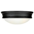 thumbnail image 3 of Westinghouse 6370600 Meadowbrook 2 Light 13" Wide Led Flush Mount Bowl Ceiling Fixture -, 3 of 7
