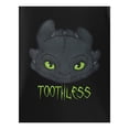 thumbnail image 3 of T-Shirt à Manches Courtes pour Garçons How To Train Your Dragon Toothless, 3 of 3