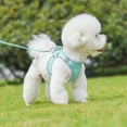 thumbnail image 3 of Step in Dog Harness and Leash Set - Summer No Pull Escape Proof Vest Harnesses with Soft Mesh and Reflective Bands, Adjustable Pet Outdoor Harnesses for Small and Medium Dogs, 3 of 7