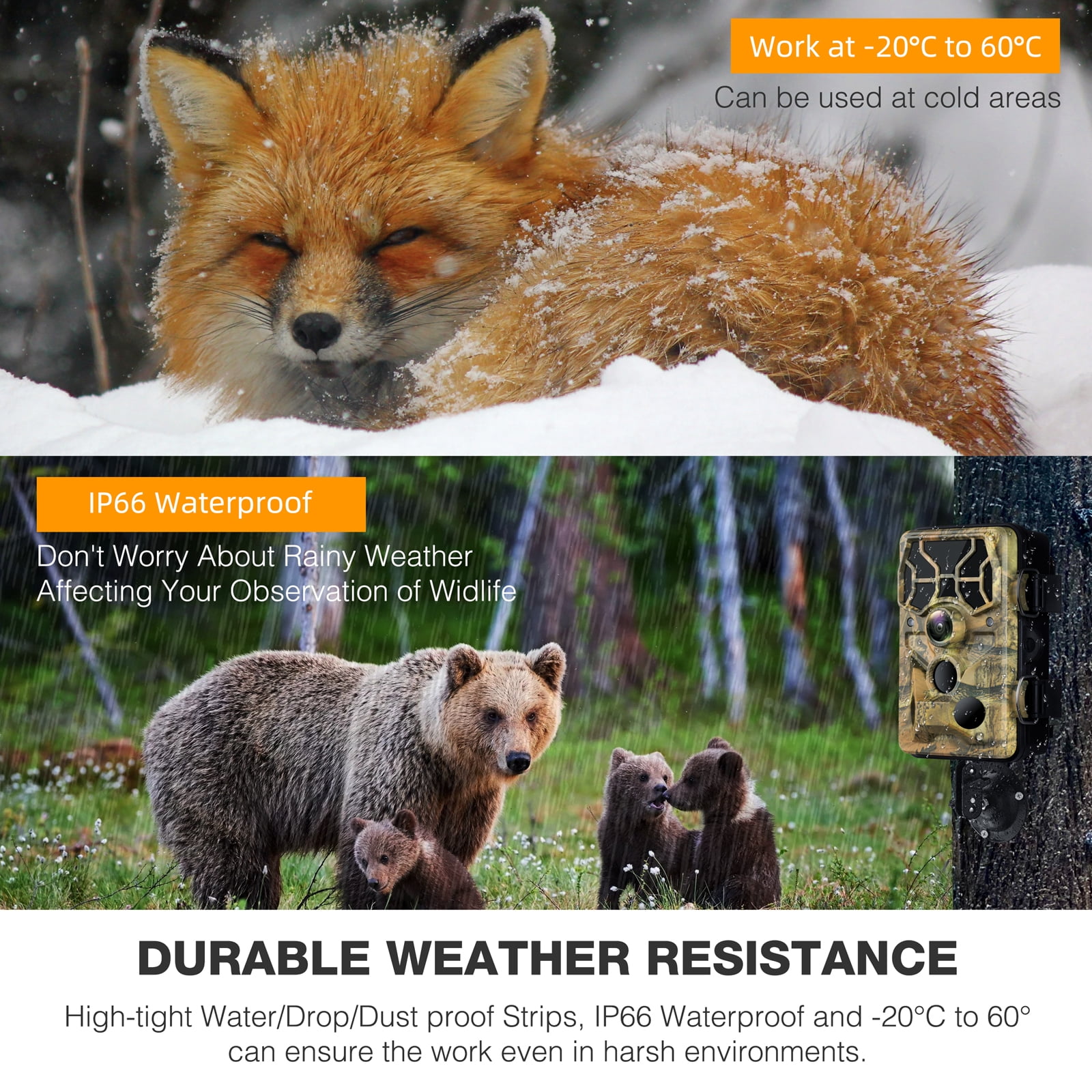 CAMPARK WiFi Bluetooth Trail Camera 20MP 1296P Deer Hunting Game Camera 65FT Infrared Night Vision Waterproof IP66 Outdoor Wildlife Trail Cam