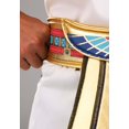 thumbnail image 3 of Plus Size Men's King Tut Costume, 3 of 10