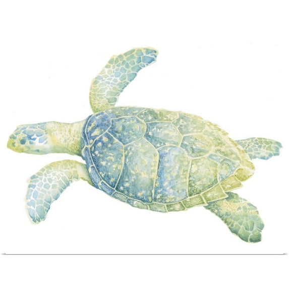 Great BIG Canvas | Rolled Megan Meagher Poster Print entitled Tranquil Sea Turtle II