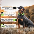 thumbnail image 2 of 2 Pack Reflective Dog Collar with Safety Locking Buckle, Adjustable Soft Breathable Comfortable Nylon Pet Collar for Small, Medium and Large Dogs, Turquoise, XS, 2 of 5
