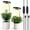 Black, variant on GPED Plant Grow Light, LED Growing Light for Indoor Plants, Full Spectrum Desk Growth Lamp w/ Automatic Timer(3/9/12Hrs) & Height Adjustable, 10 Dimmable Brightness for Small Plants, 2 Packs, White