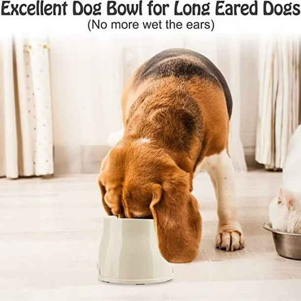 Long eared dog water bowls hot sale