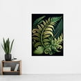 thumbnail image 2 of Ernst Haeckel Style Fern Fronds Leaf Illustration Extra Large XL Wall Art Poster Print, 2 of 3