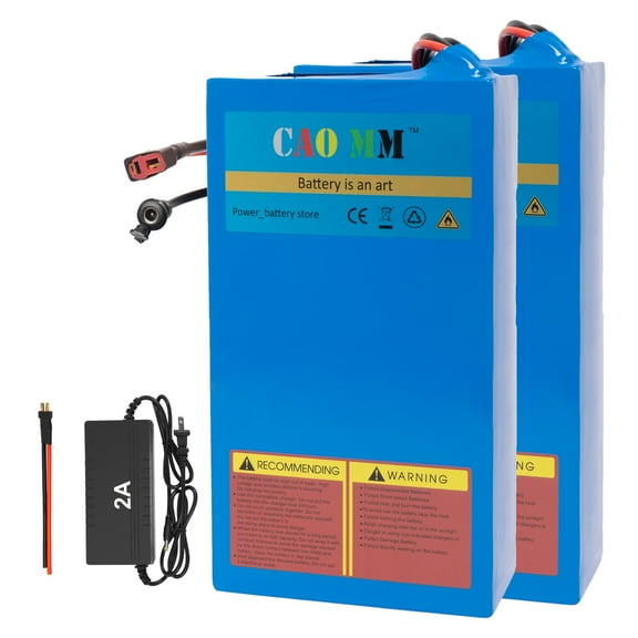 Caomm 2Pcs 48v 20ah Ebike Battery 48v Lithium ion Bicycle Battery