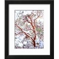 thumbnail image 2 of USA, California. a SnowCovered Manzanita Bush, Botanical Scenic Seasons Framed Art Print Wall Art by Jaynes Gallery Sold by Art.Com, 2 of 6