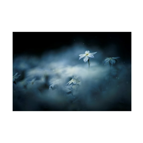 Canvas Wall Art - Takashi Suzuki 'Spring Glow' Wall Art for Living Room, Bedroom, or Office D?cor by Trademark Fine Art - 19 x 12 Inches