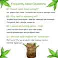 View all media