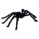 thumbnail image 1 of Clearance! Halloween Pumpkin Bat Halloween Plush Simulation Spider Haunted House Decoration Supplies Tricky Toys Buy 2 Get 3, 1 of 4
