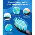thumbnail image 3 of TEETHEORY Cepillos de dientes eléctricos sónicos para adultos y niños, 8 cabezales de cepillo de dientes eléctrico con 40000 VPM limpieza profunda 5 modos, carga rápida recargable 4 horas últimos 30 d, 3 of 5