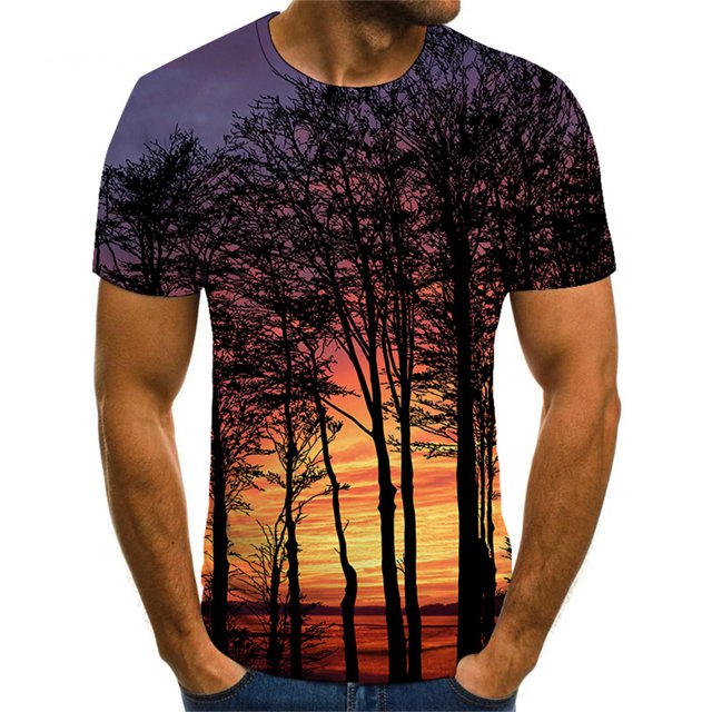 Mode d'Été Décontractée T-Shirts Graphiques Paysage Hommes Motif Paysage Naturel Imprimé Col Rond Manches Courtes T-Shirts Surdimensionnés