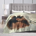 thumbnail image 4 of Can Model Yaman Throw Blanket, Ultra Soft Flannel Fleece Lightweight Throw Blankets Warm Air Conditioning Blanket For Couch Sofa Bed 80x60 Inch, 4 of 6