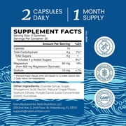 Magnesium Glycinate Gummies 600MG | Sleep, Calm & Relaxation Support | 60MG Elemental Mag Per Serving | Grape Flavor, Gluten-Free | High Absorption Magnesium Gummies for Women, Men & Family | 60 Ct
