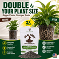 thumbnail image 3 of Big Foot Granular Mycorrhizae - Double Your Plant Size – Easy to Use – Made in USA – Treats 30 Plants (7,500 mycorrhizal Spores) 4 Ounces, 3 of 11