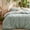 01-Sage Green, variant on U by Bedsure 3 Pieces Sage Green Queen Size Comforter Sets, Cute Flowers Botanical Lightweight Soft Bedding Set With 2 Pillow Shams