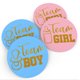 thumbnail image 2 of Pegatinas de revelación de género Team Girl, Team Boy - 48Labels JAMW Sencillez, 2 of 5