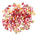 thumbnail image 4 of Shisuyan 300Pcs Wooden Selfadhesive Decor Mini Wooden Ladybug Bee Phone Shell DIY Accessory, 4 of 8