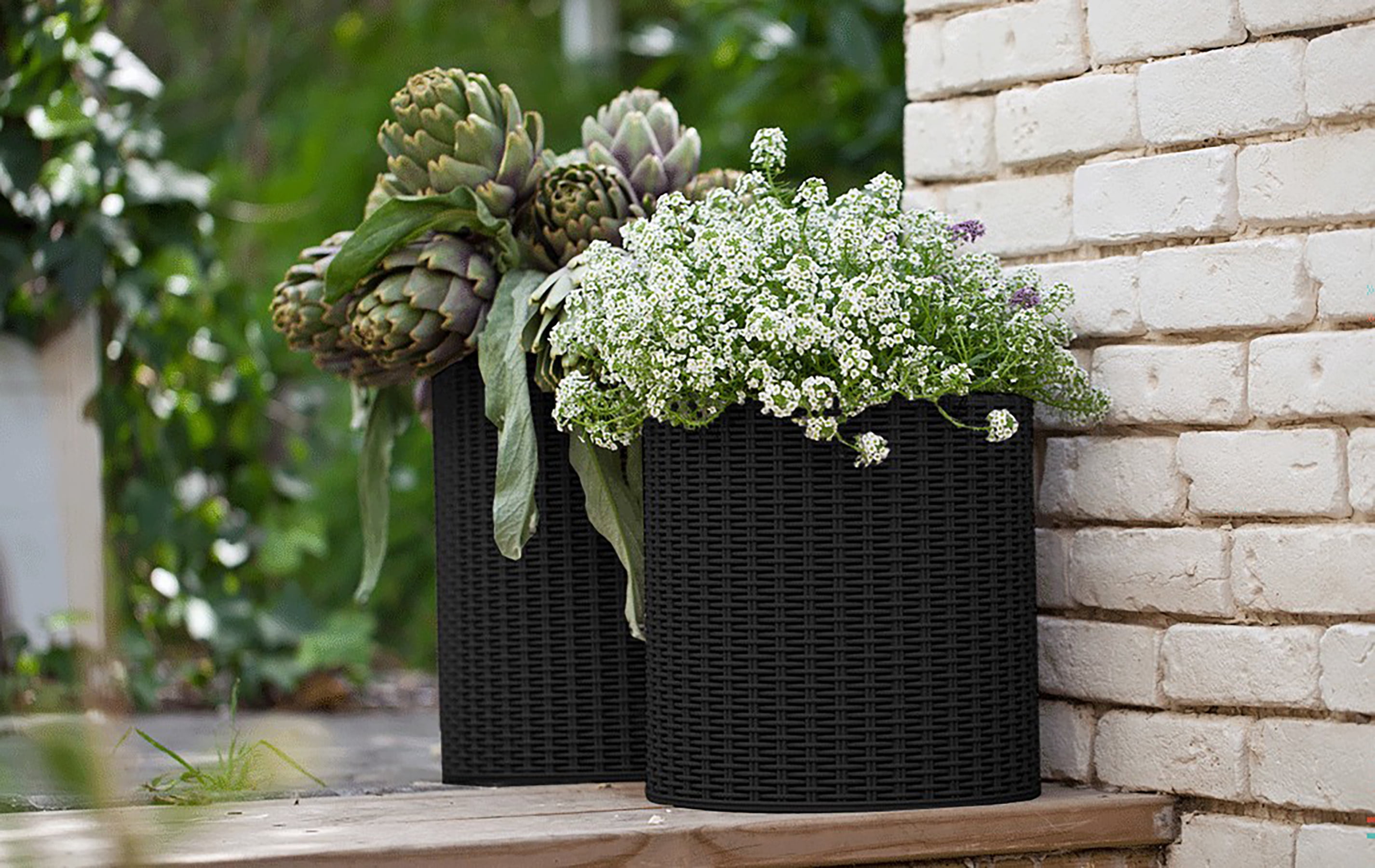 Keter Medium Cylinder Rattan Resin Planter Set of 2 for Indoor and Outdoor Plants Ideal for Patio and Porches, Graphite