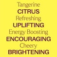 thumbnail image 4 of Plant Therapy Tangerine Organic Essential Oil 10 mL (1/3 oz) 100% Pure, Undiluted, Natural Aromatherapy, 4 of 9