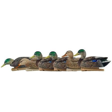 Open Box Avian X Topflight Early Season Mallard Duck Decoys Multicolor 6 Pack