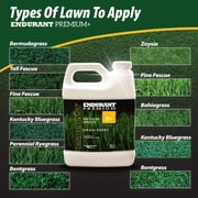 Endurant Premium Medium, 32oz, green grass lawn colorant