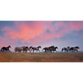 thumbnail image 3 of PHBurchett 24x14 Black Modern Framed Museum Art Print Titled - Horse Run VIII, 3 of 5