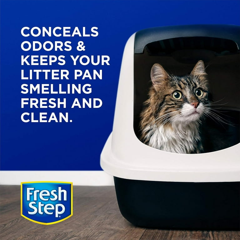 Litter box always smells discount