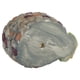 thumbnail image 4 of Maceta, Maceta de resina creativa para plantas suculentas, materiales ecológicos Jadeshay A, 4 of 8