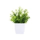 thumbnail image 2 of Plantas Artificiales En Maceta con Flores, Pequeñas Plantas Artificiales para Decoración de Interiores (Hogar, Baño, Cocina, Oficina, Escritorio), Planta de Plástico Verde de 18 Cm de Altura, 2 of 6