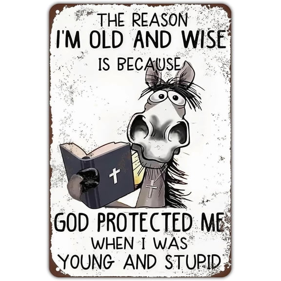 Funny Horse God Protected Me When I Was Young and Stupid Vintage Religious Humor Metal Tin Sign, Wall Decor for Garden Yard Bar Porch Home Bedroom Kitchen, 8 x 12 In