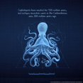 thumbnail image 3 of Nobleworks, Inc. 20x20 Black Modern Framed Museum Art Print Titled - Octoprint 2, 3 of 5