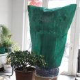 thumbnail image 1 of Warm Cover Tree Shrub Plant Protecting Bag Frost Protection Yard Garden Winter HU3662, 1 of 1