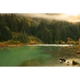 thumbnail image 2 of Grizzly Bear Fishing In Chilkoot River  Haines  Alaska. Poster Print, 2 of 2