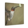 thumbnail image 5 of Ruby-Throated Hummingbird - Canvas, 5 of 25