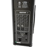 PA50 2x4.5 50W Personal PA System
