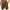 Coffee, variant on Puntoco Mens Swim Trunks Long, Quick Dry Mens Boardshorts,Inseam Mens Bathing Suits with Mesh Lining